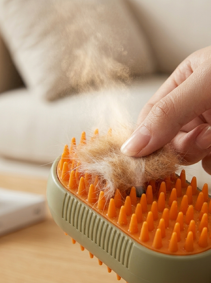 SteamBrush